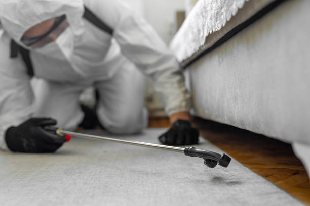 Professional Termite Control technician working in Latta, OK