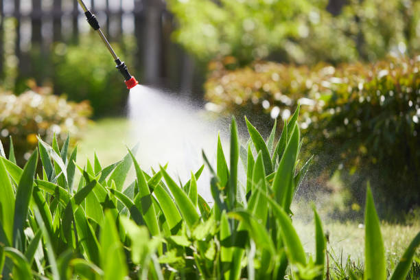 24/7 Emergency Termite Control experts in Latta, OK