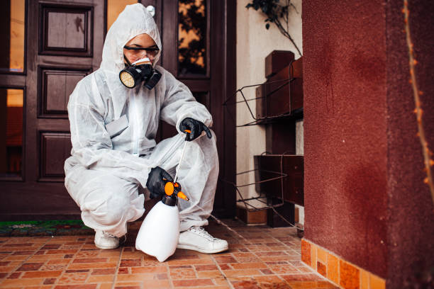 Reliable Termite Control contractor in Latta, OK by Nex Pest Control