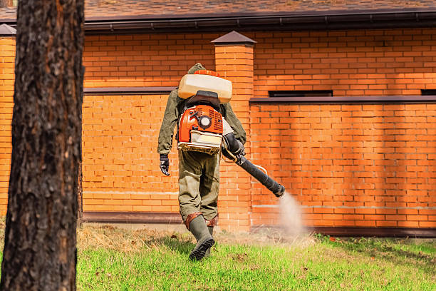 Top rated local Termite Control specialists in Latta, OK